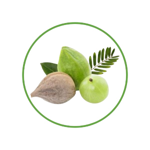 Triphala