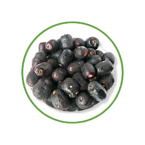 jamun_seeds